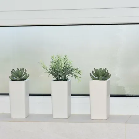 Mediterranean Style Timişoara